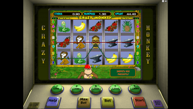 Игровой автомат Crazy Monkey