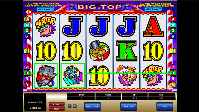 Популярный аппарат Big Top