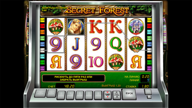Игровой аппарат Secret Forest